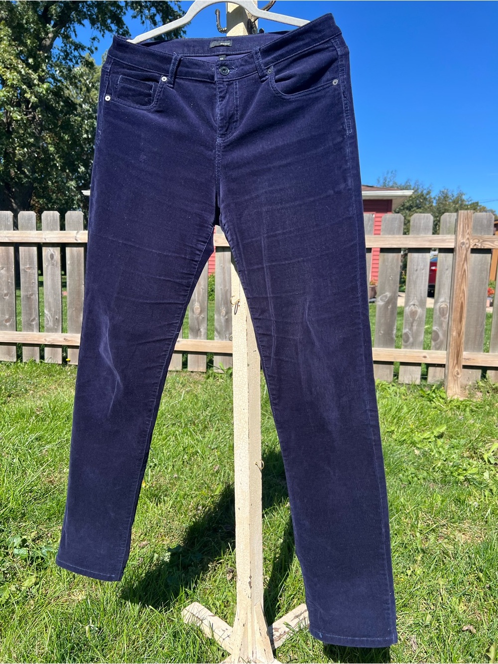 Edyson Hampton Women’s Skinny Navy Corduroy Pants 30L
